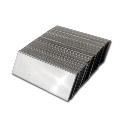 Fish Scale Impression Slides Fish Scale Impression Slides